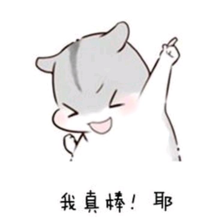 💰皮一哈💰