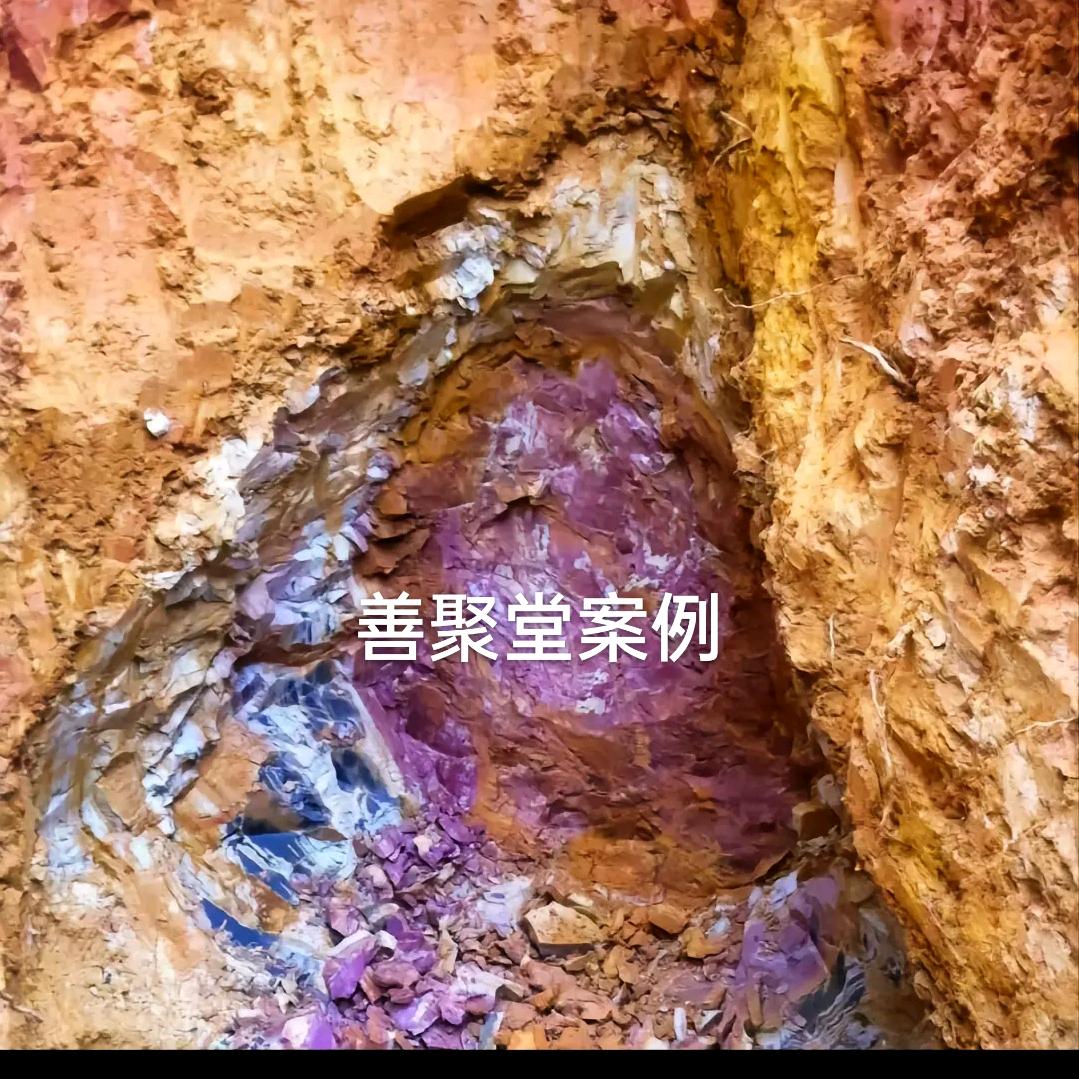善聚堂1319