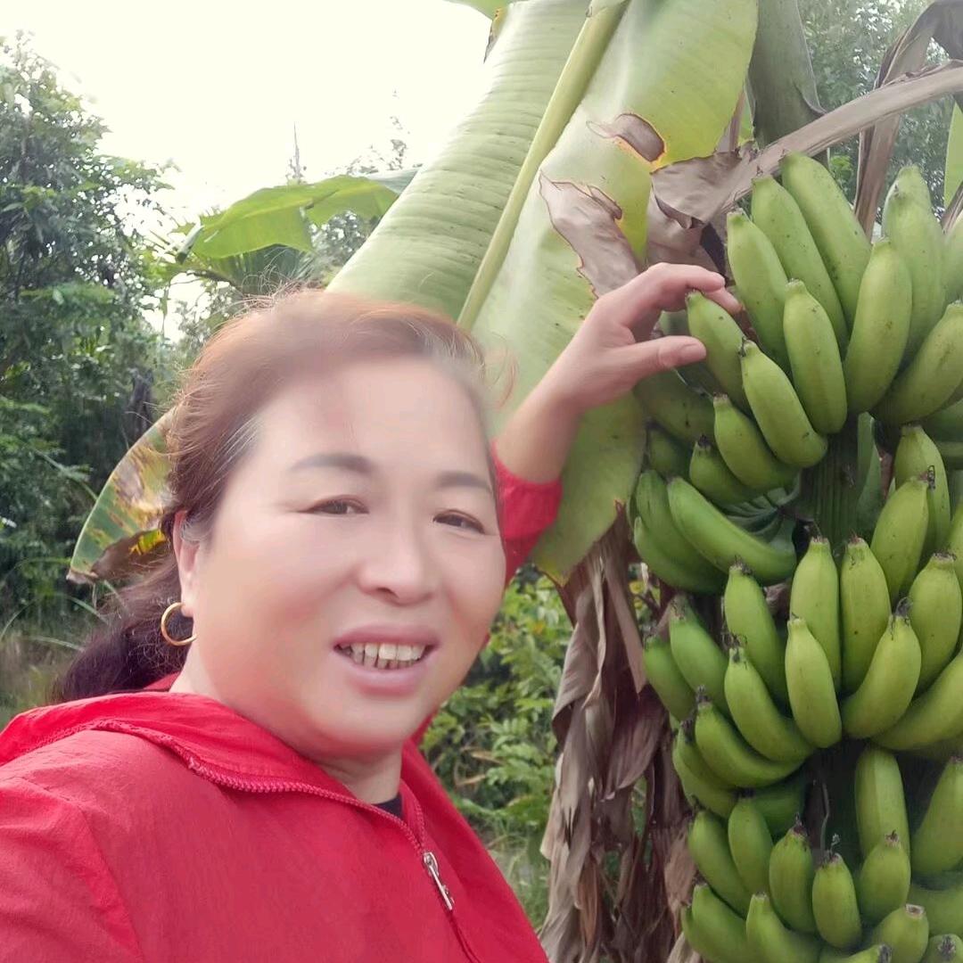 天天快乐叢