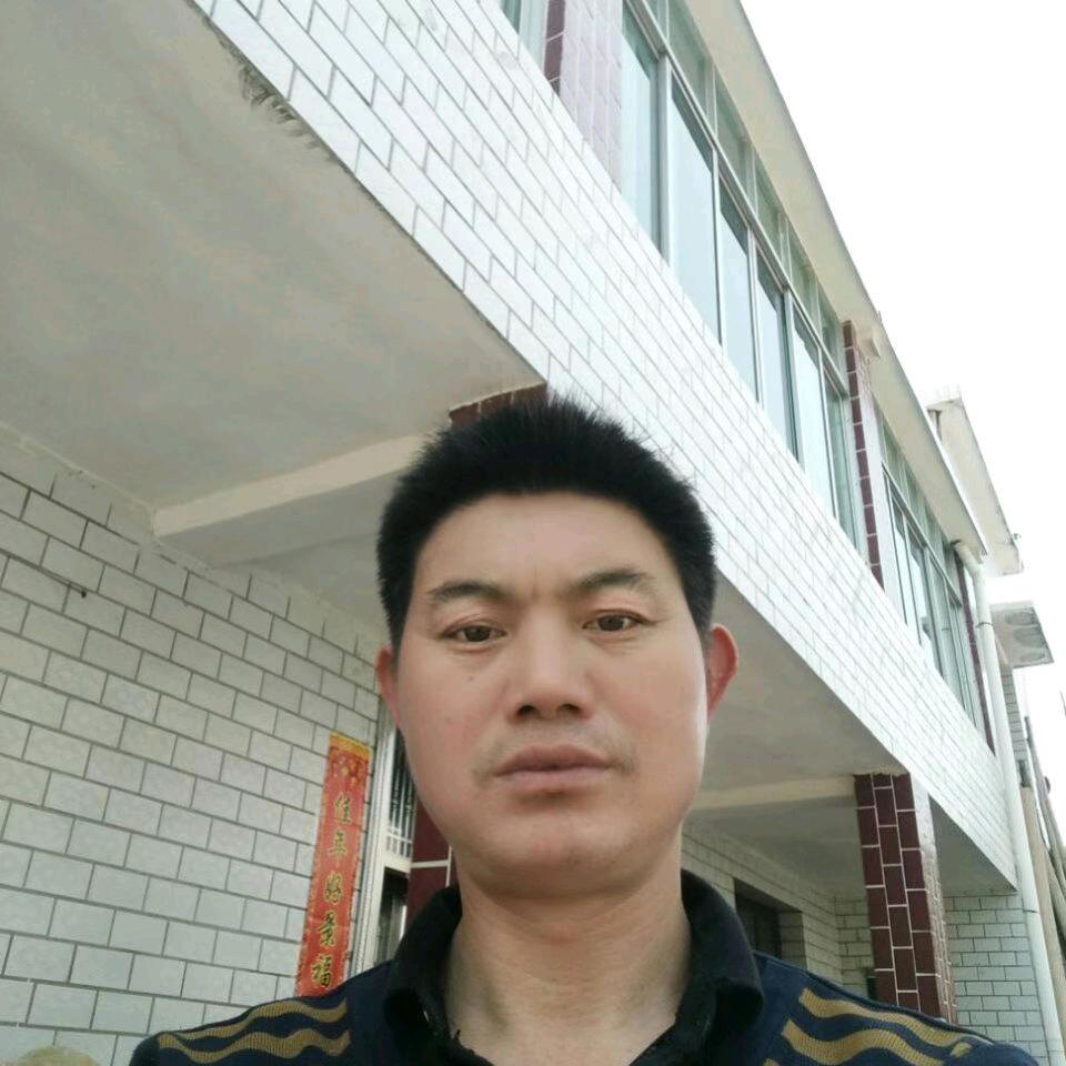 冯新凡