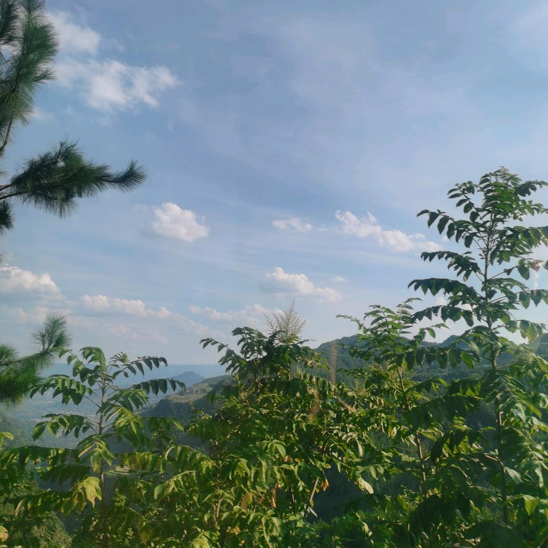@浅夏%忆惜&