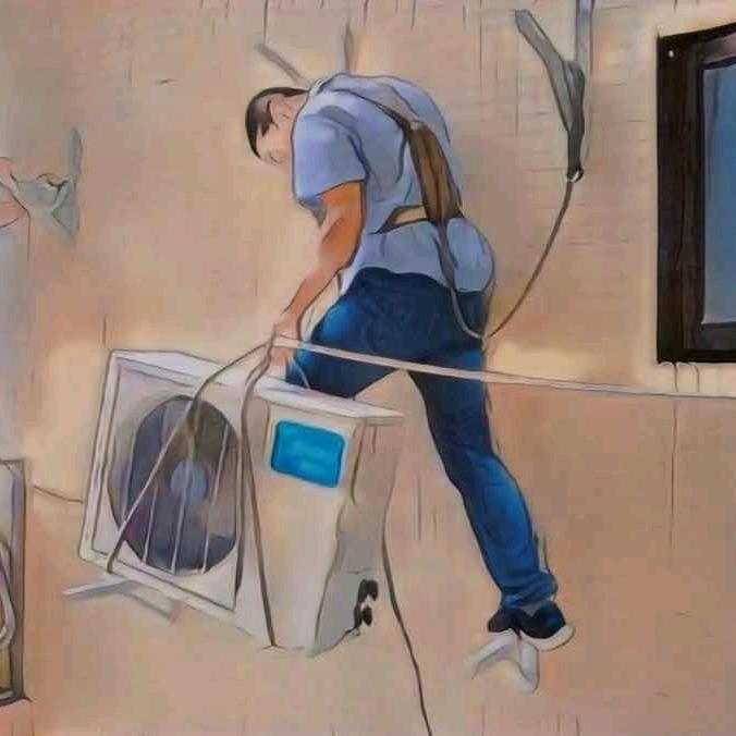 柳影逸尘
