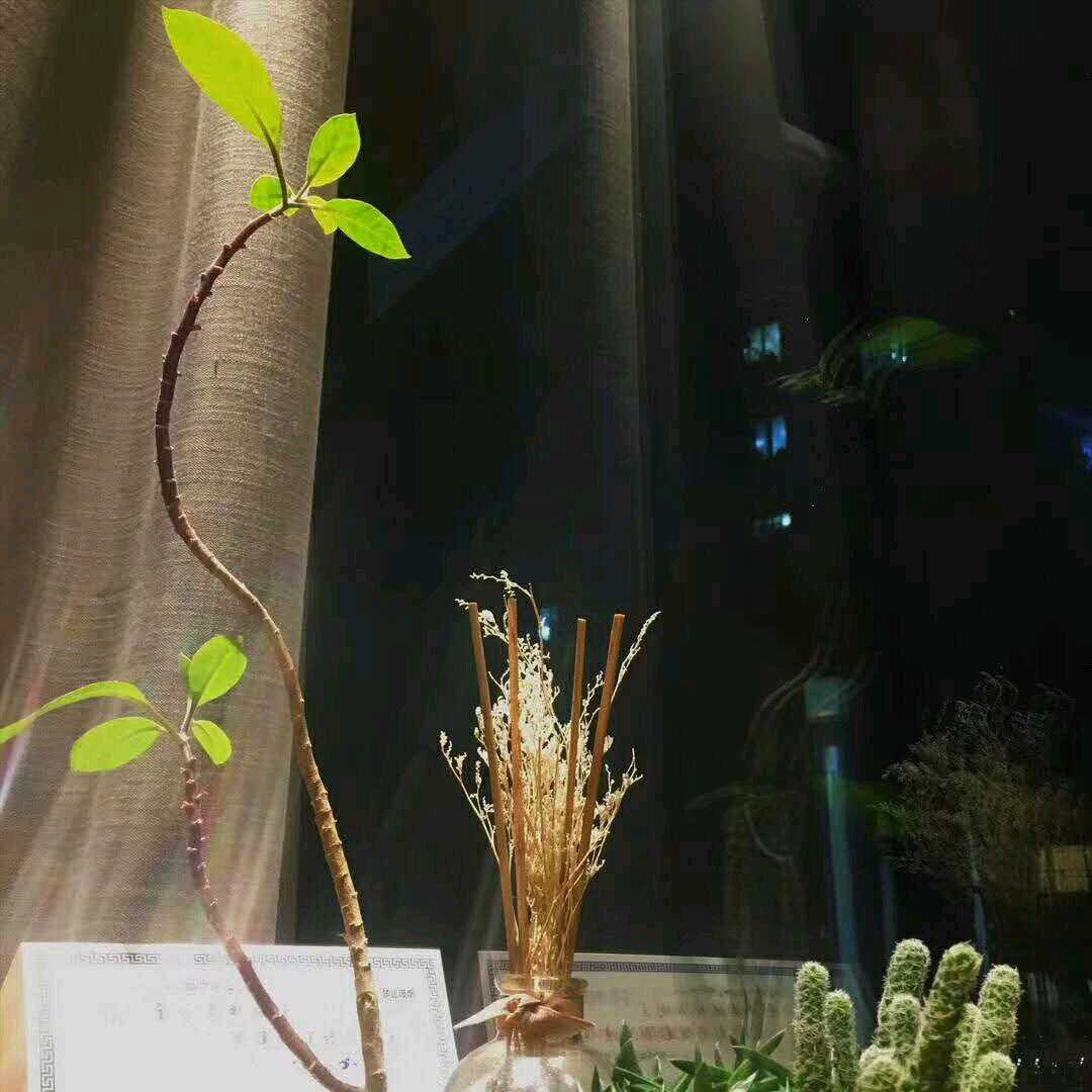夜色风铃