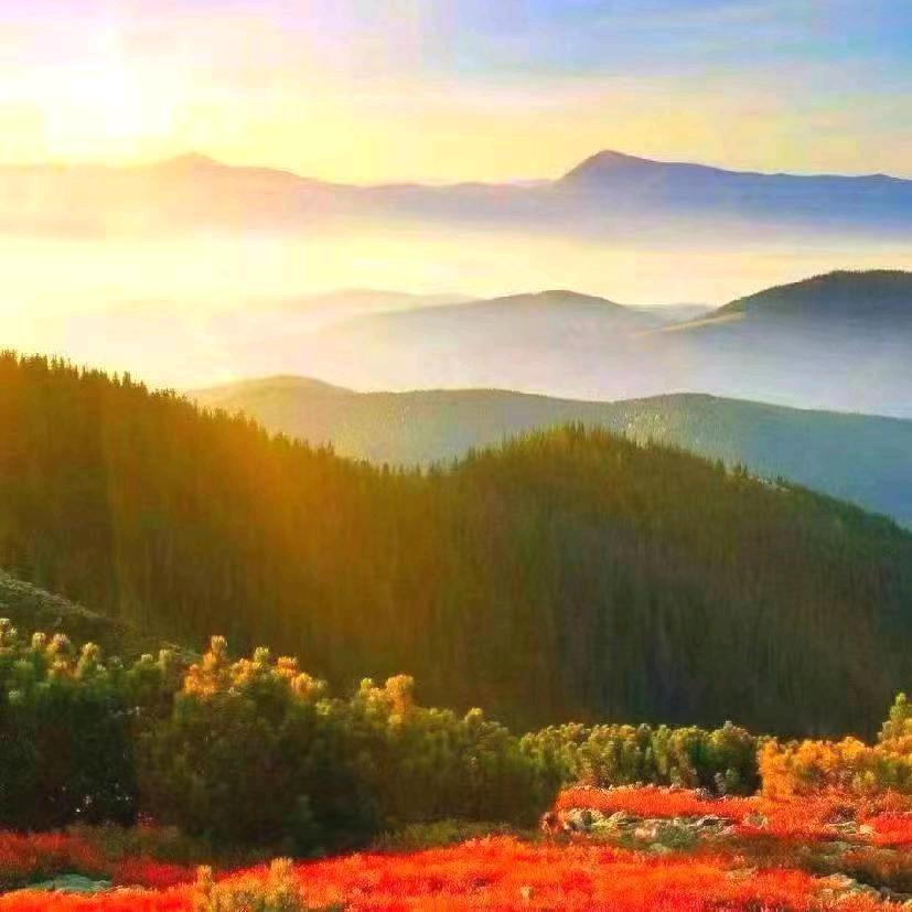 丙戊居士，清朝名师李奉来十三代养孙