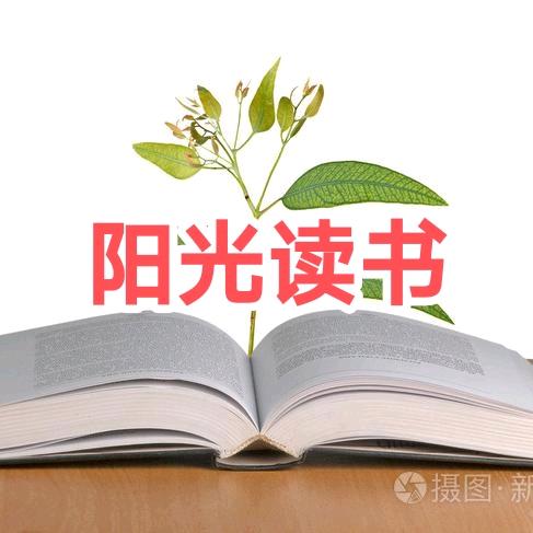 阳光之城