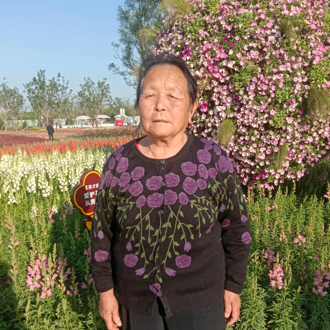 开心老太太