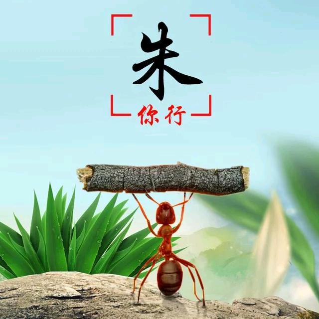 云倚长风朵朵开