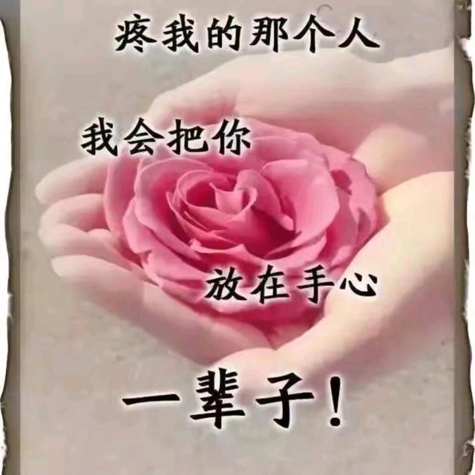 我的快乐就是想你🌺🌺🌺🌺