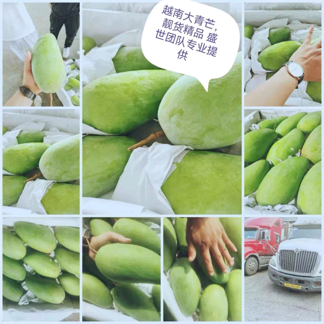 盛世精诚果蔬 -罗