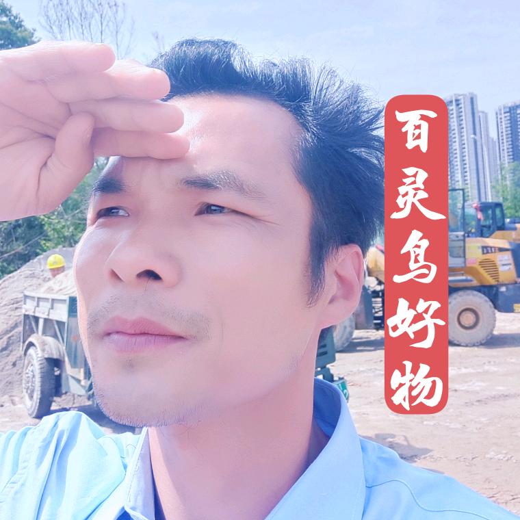 百灵鸟