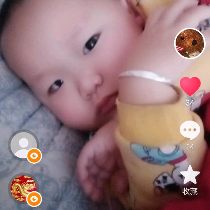 我是沙漠上的一片绿。