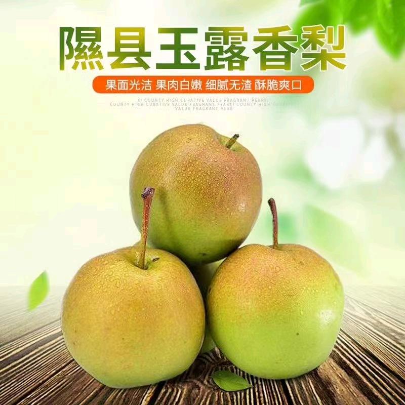 🍎🍎玉露香王子🍐🍐