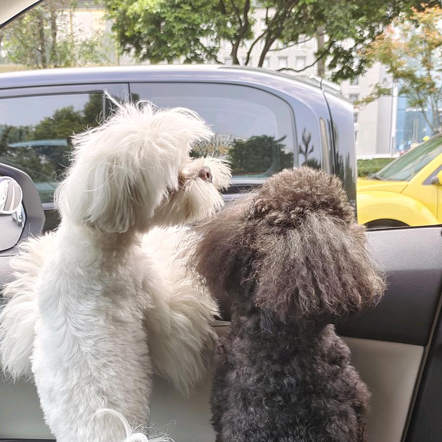 吃西瓜不吃西瓜皮