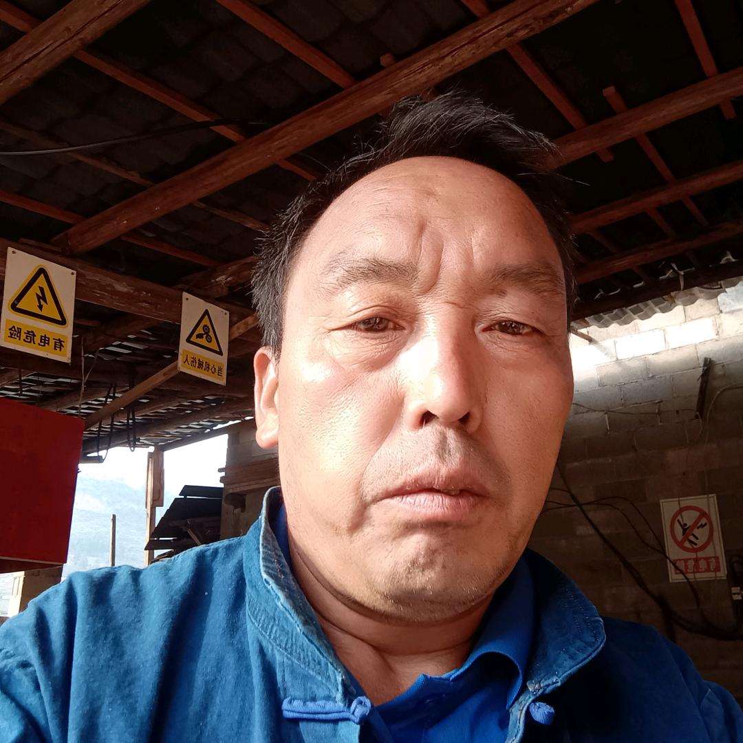 木材加工经营，生姜，疏菜种植。