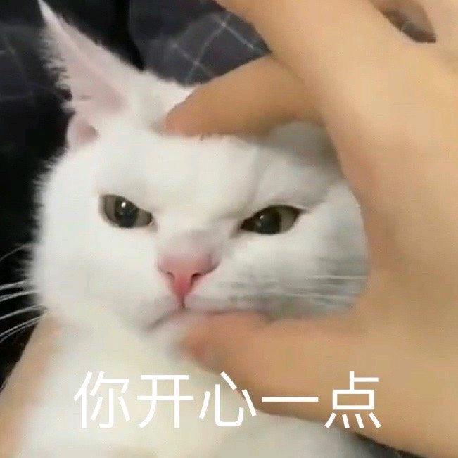 一大只狗子