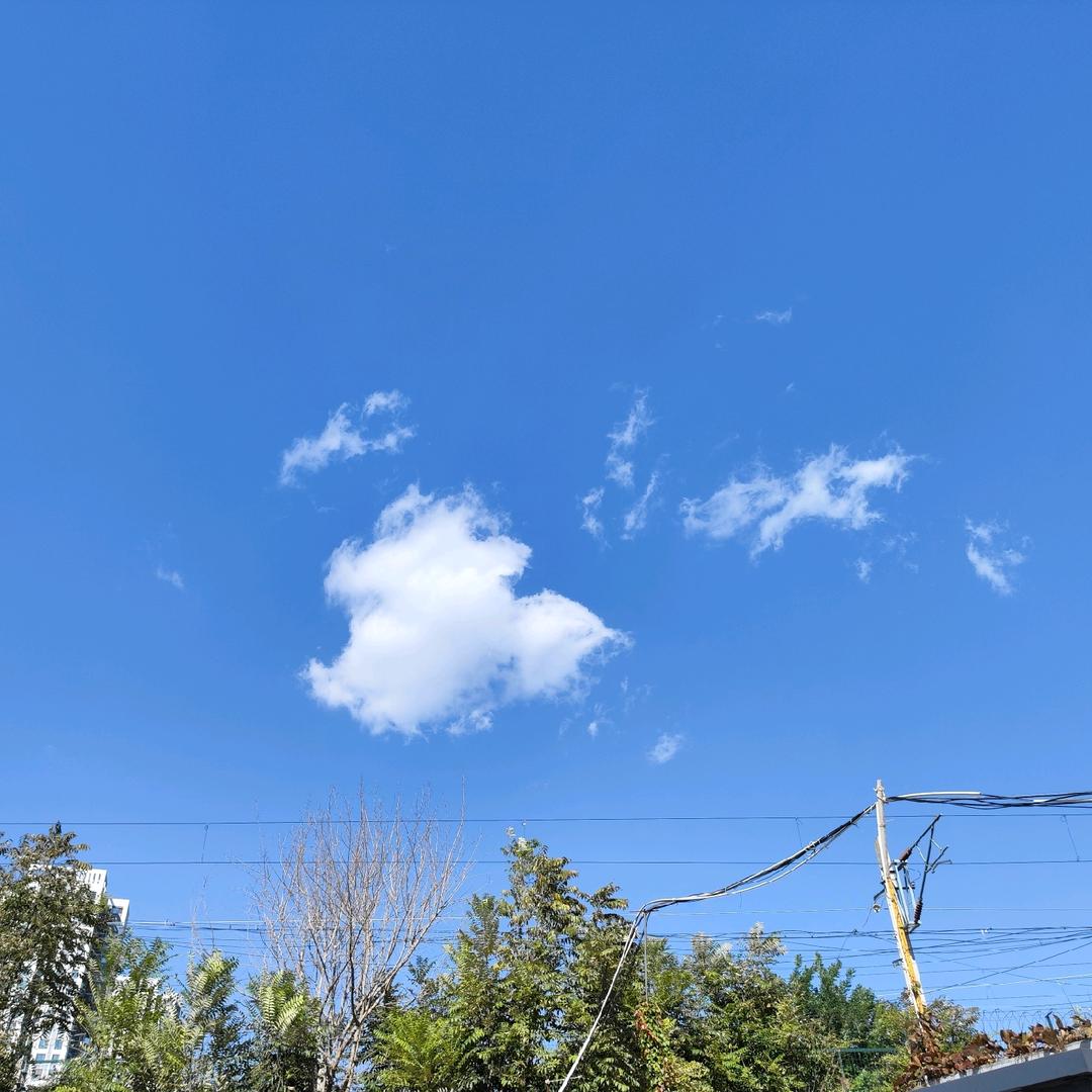小严健身