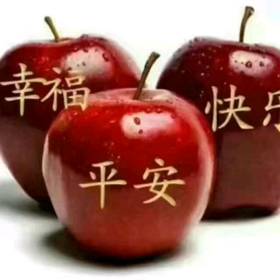 用户9395283564829010