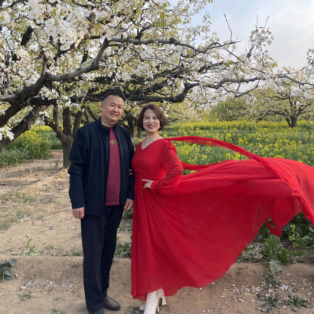 高安希（南山松）