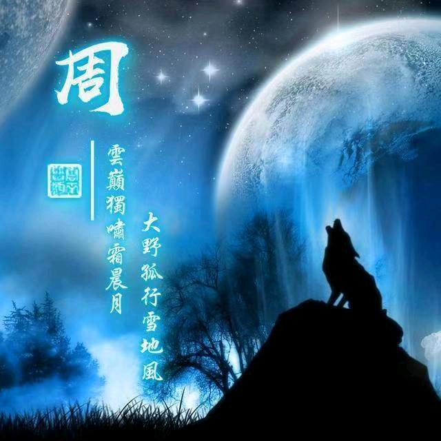 外贸精品尾货服装商行