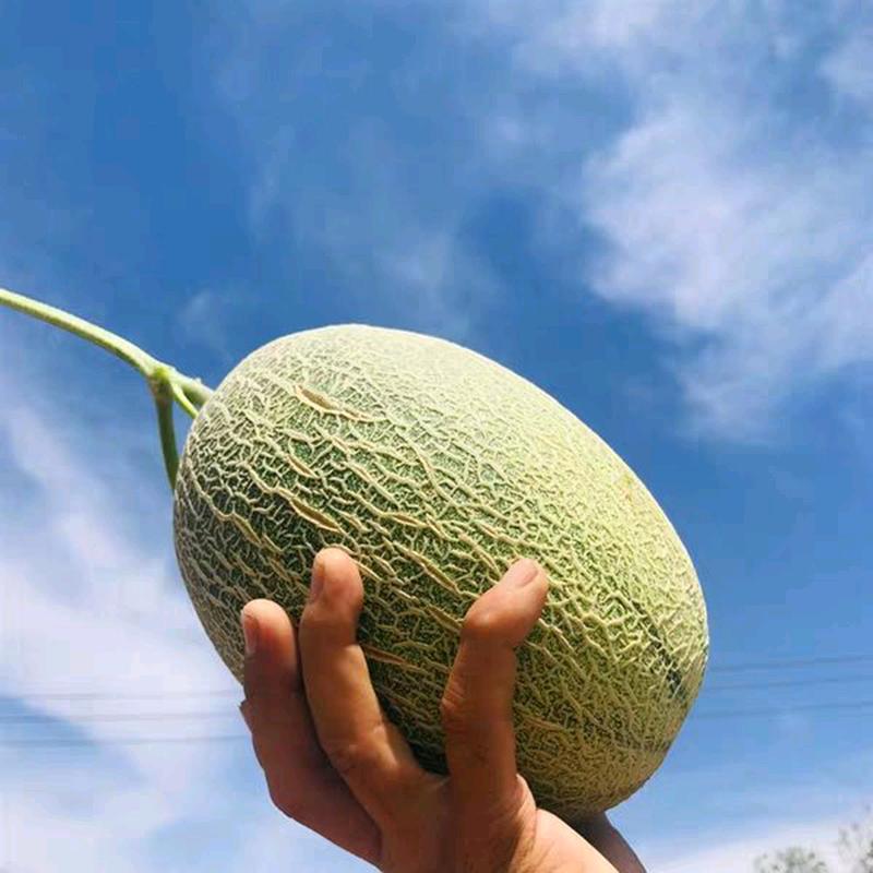 信仰之名
