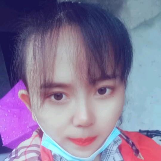 豪豪