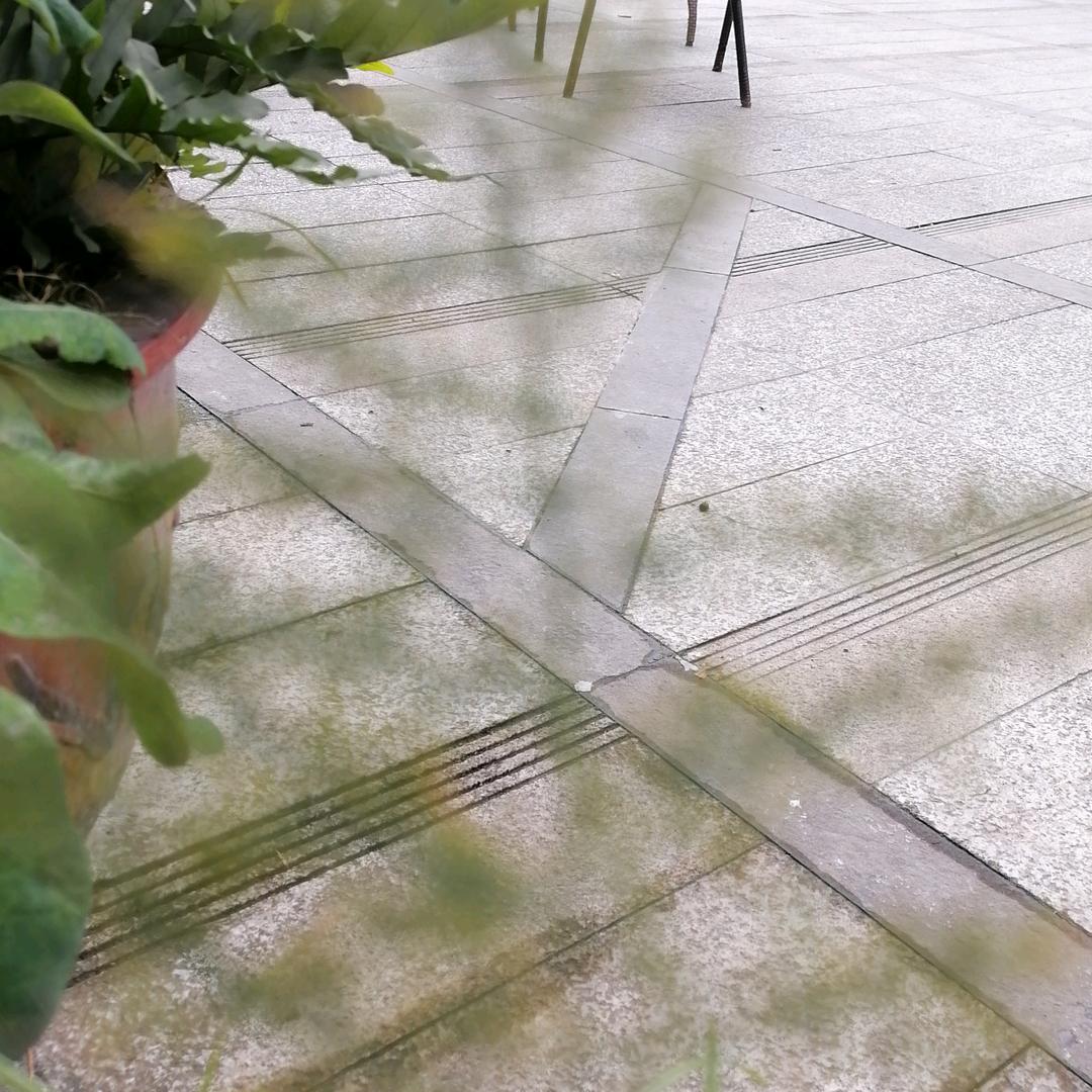 羊羊玉燕