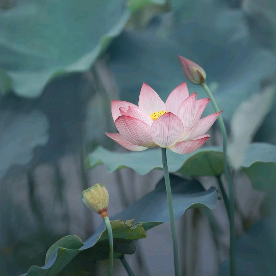 希望你幸福