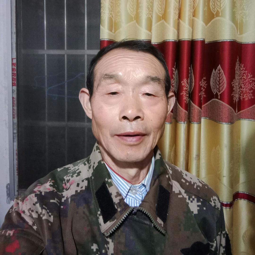 原始森林