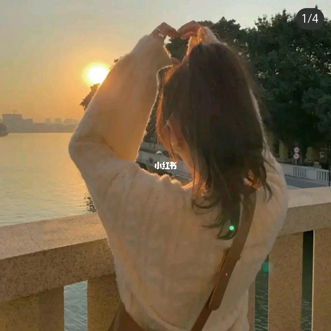 🌹繁花入梦🌹