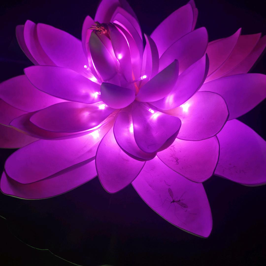 佛光普照