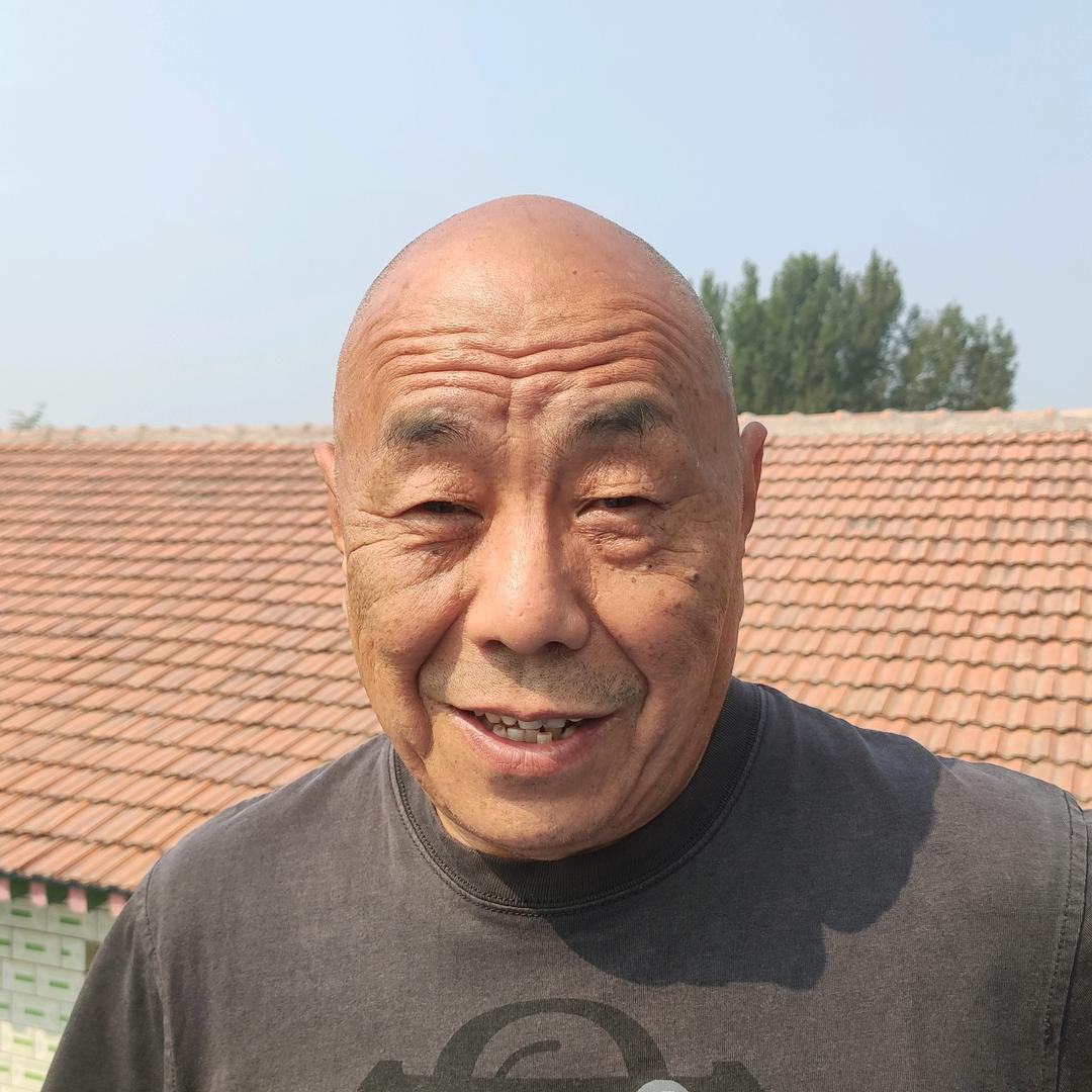 老李养鸽