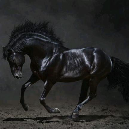 追风