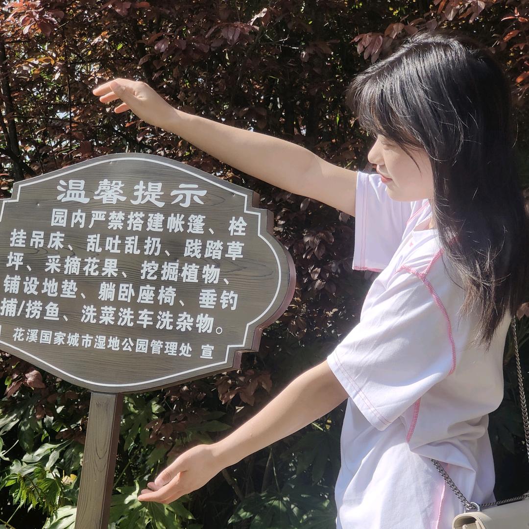 楠笙伊梦