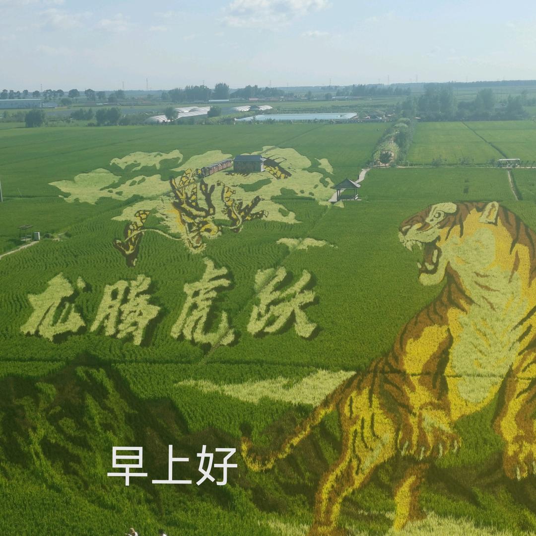 王喜臣