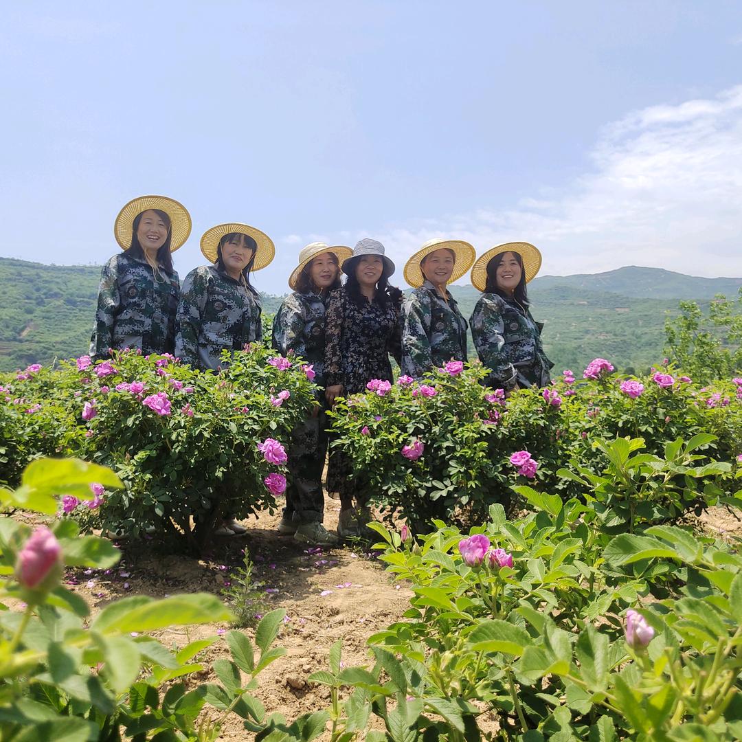 玫瑰山庄蜗牛宴