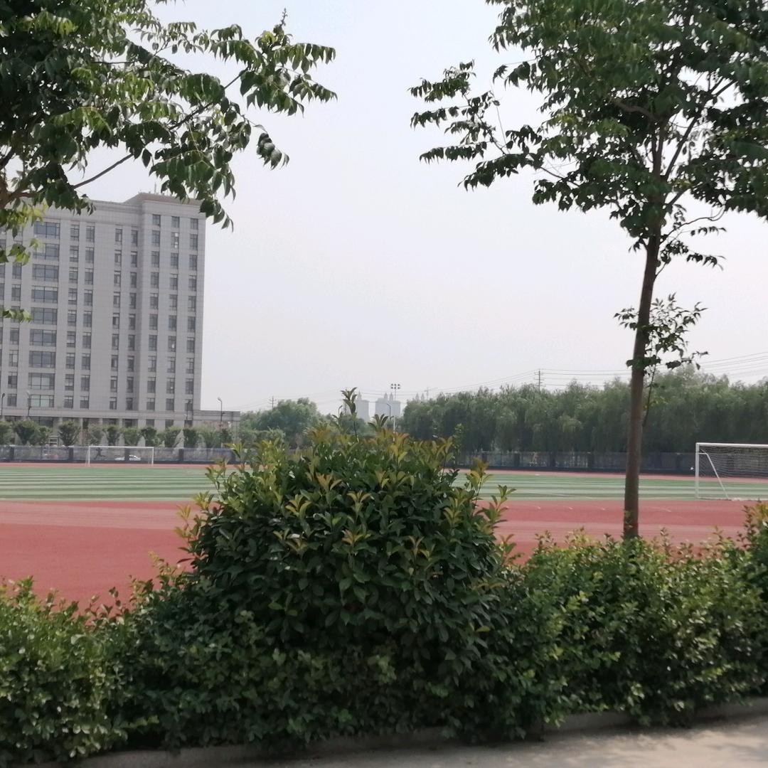 年年顺