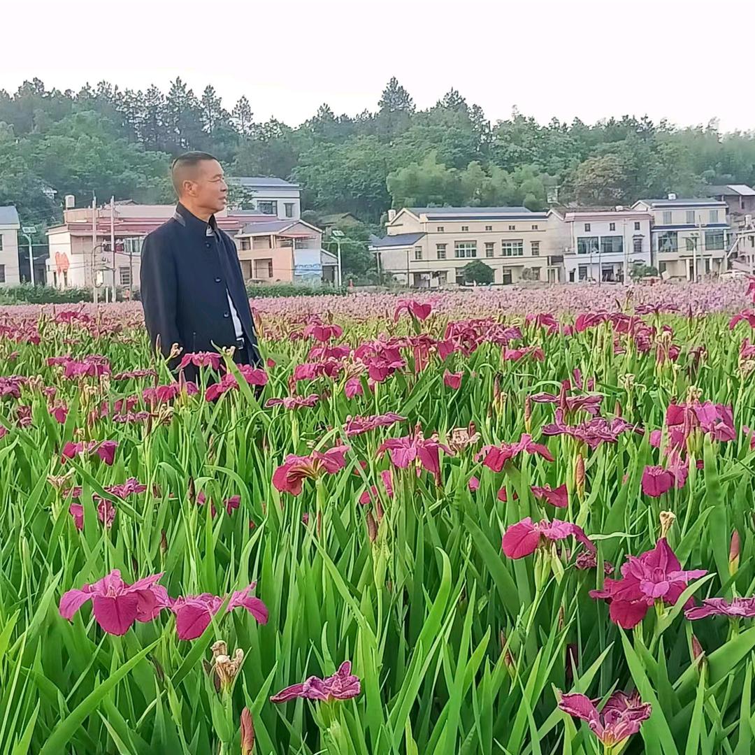 与正不同