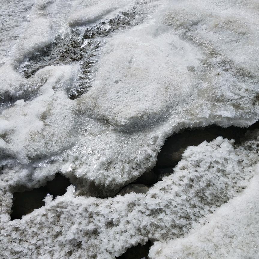 🌹🌹孤独🌹🌹