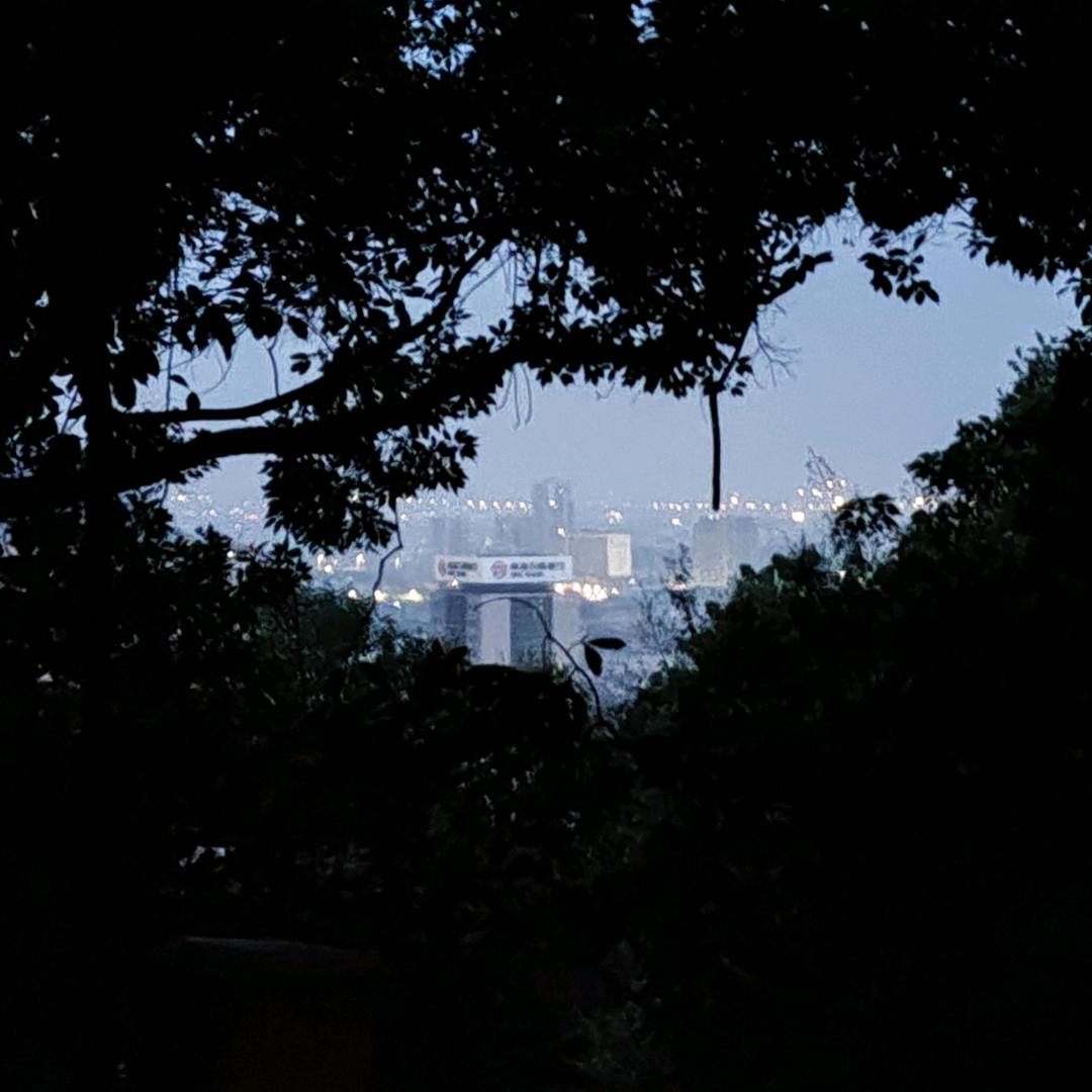 苹果派没有菠萝