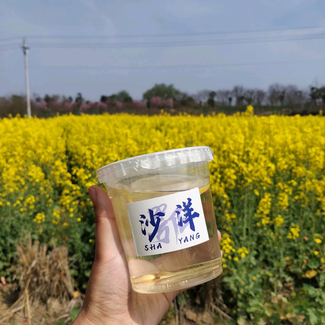 小张逛沙洋