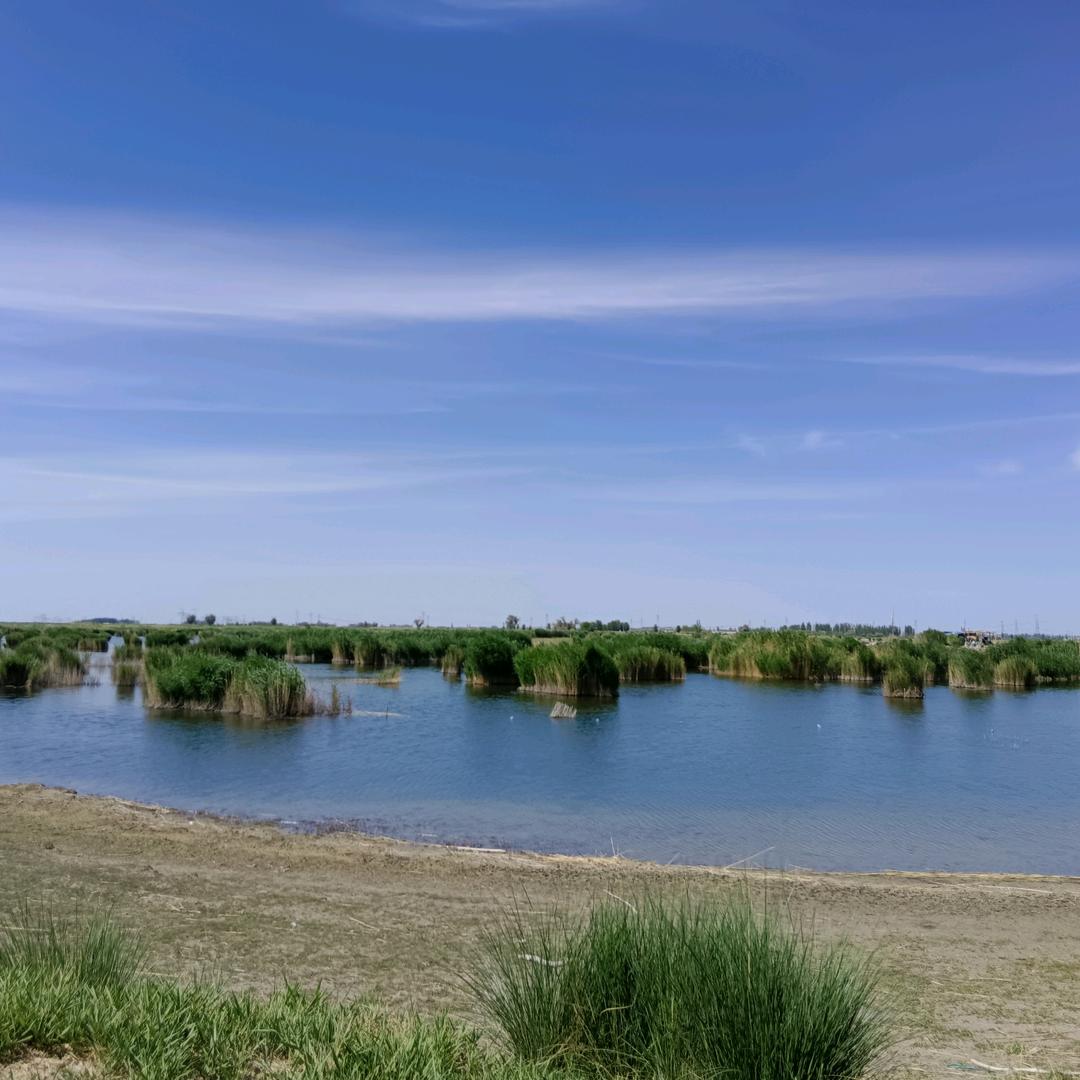 （｀へ´）随风