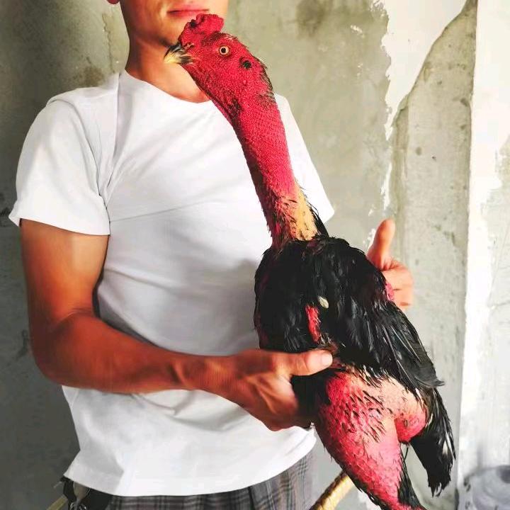 阿布都热依木江