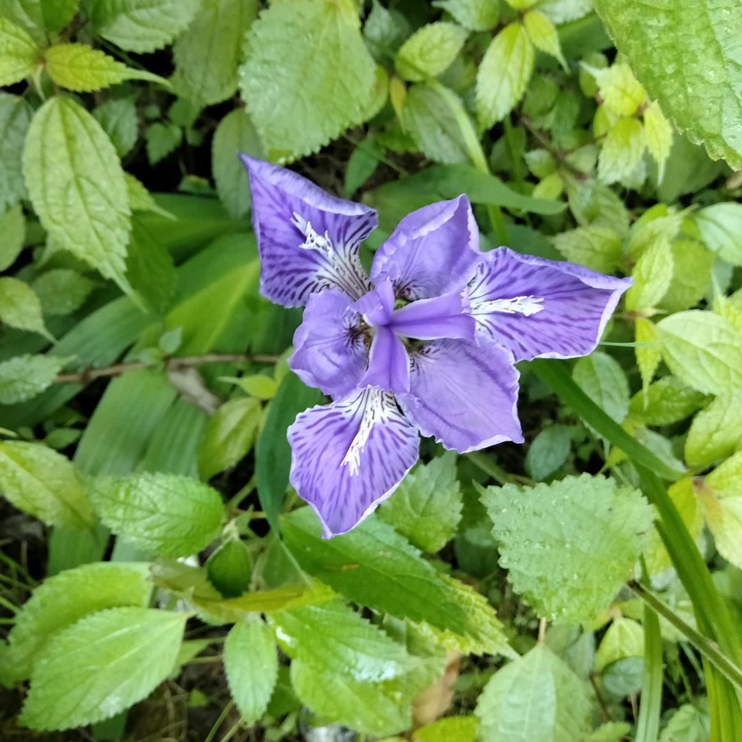 来，笑一个😊😉