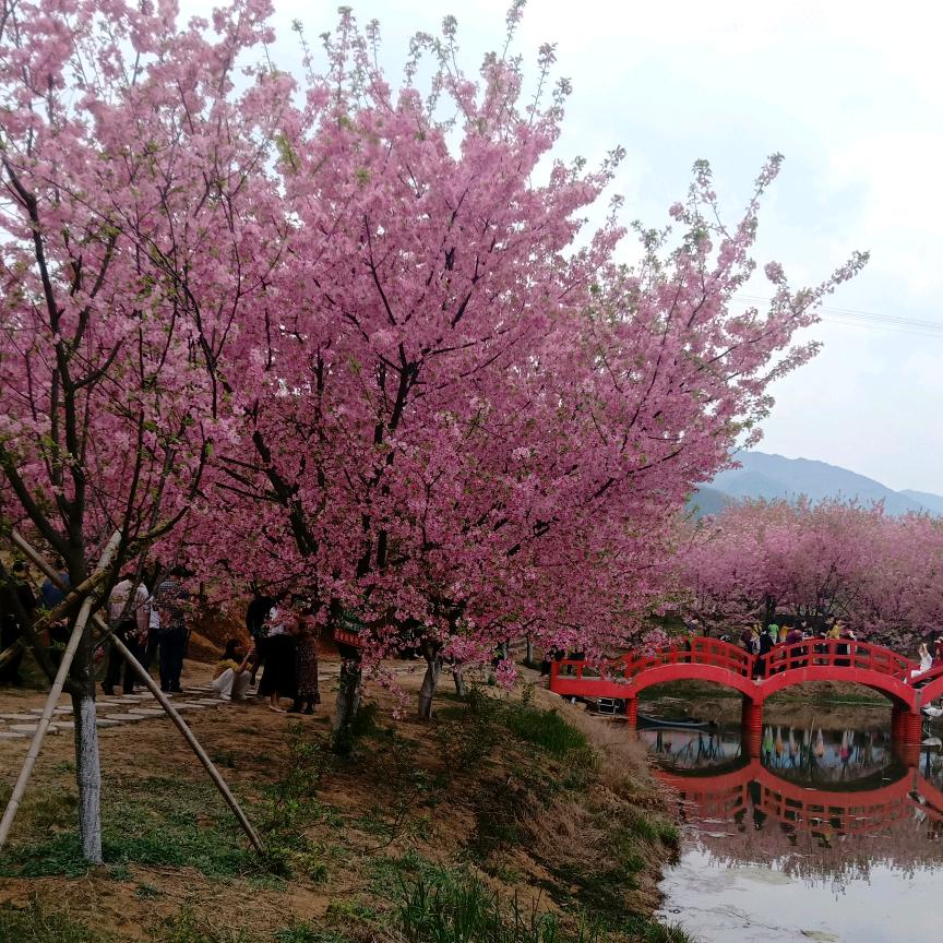 常宁九陽家电