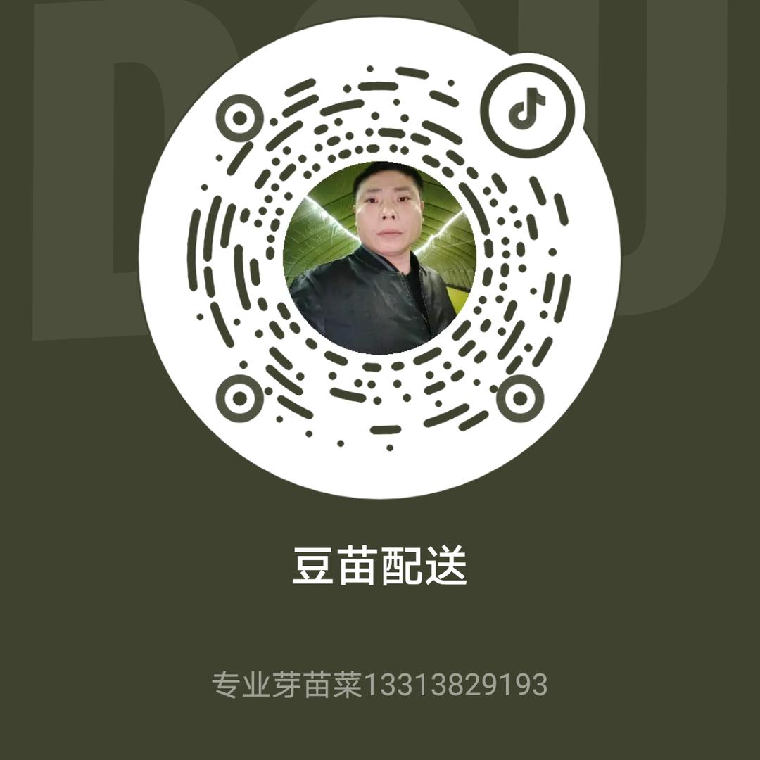 豆苗，花生芽批发