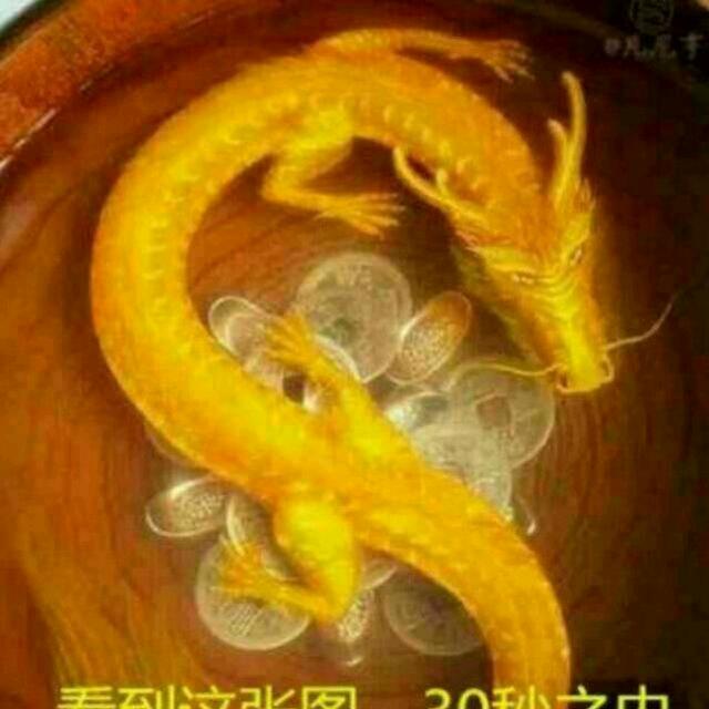 金龙