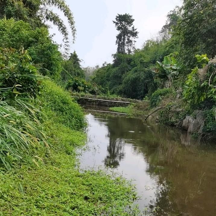 人生如戏全靠演技🐃