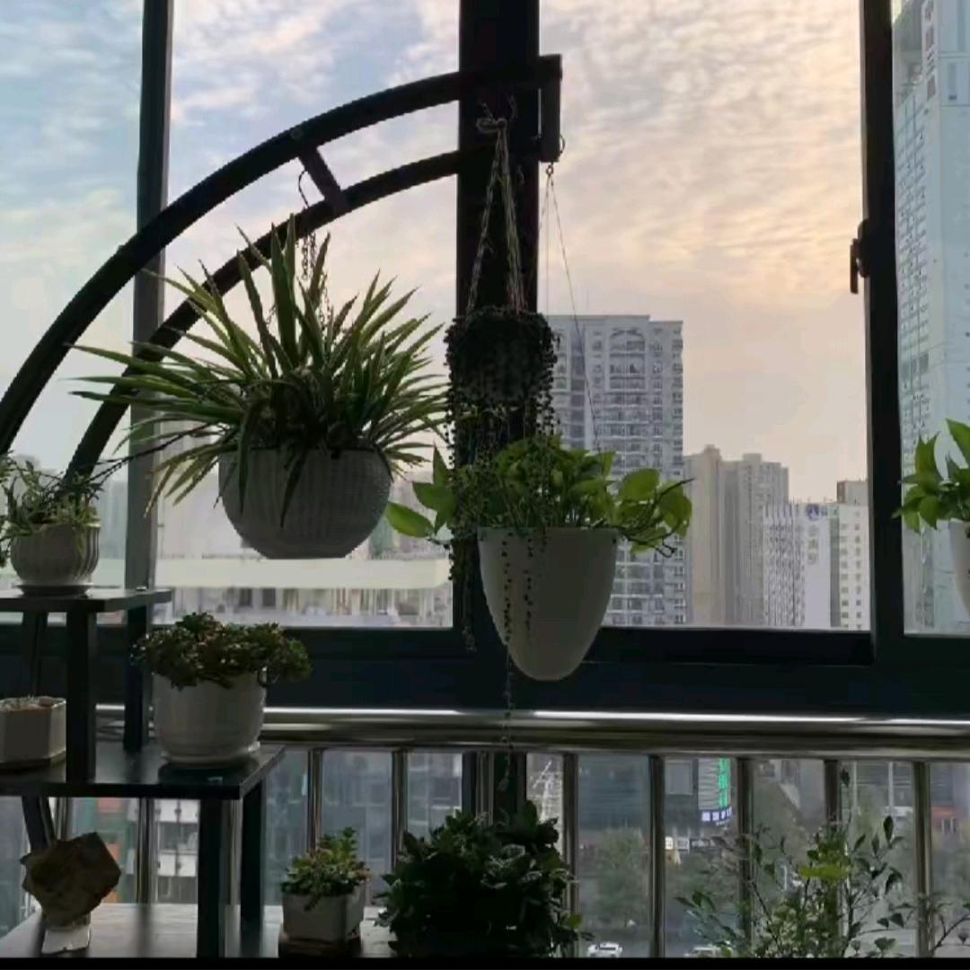 我的名字过好每一天头像