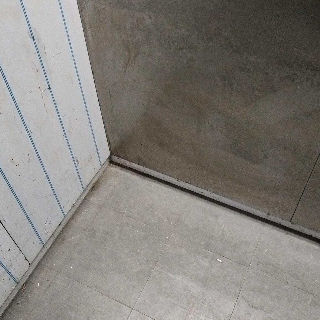Z先生