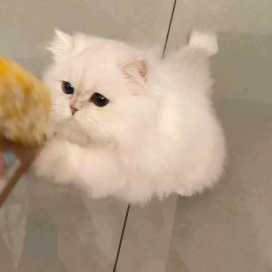 我